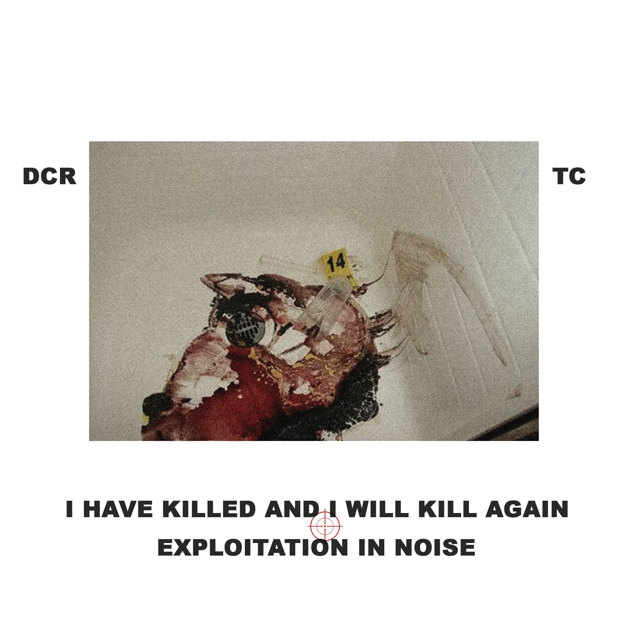 DCRTC11.jpg