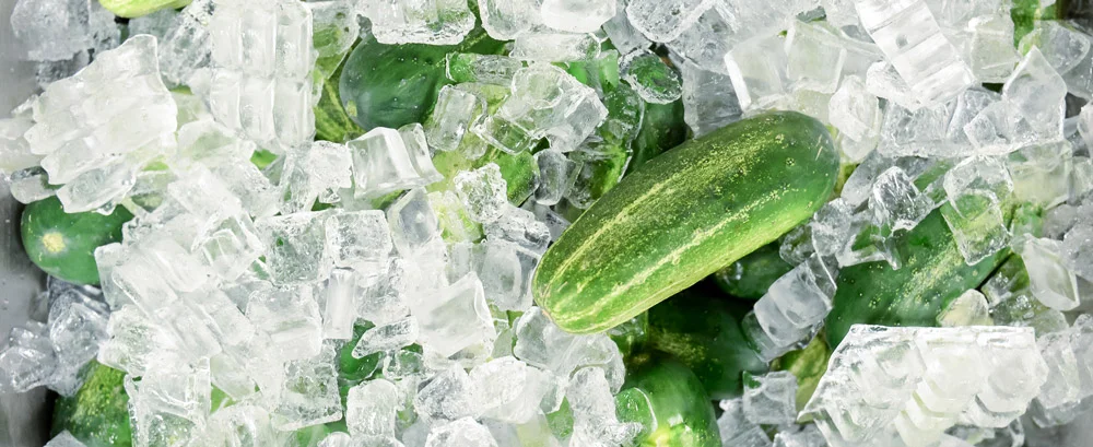 IcePickle-Home-2000.jpg
