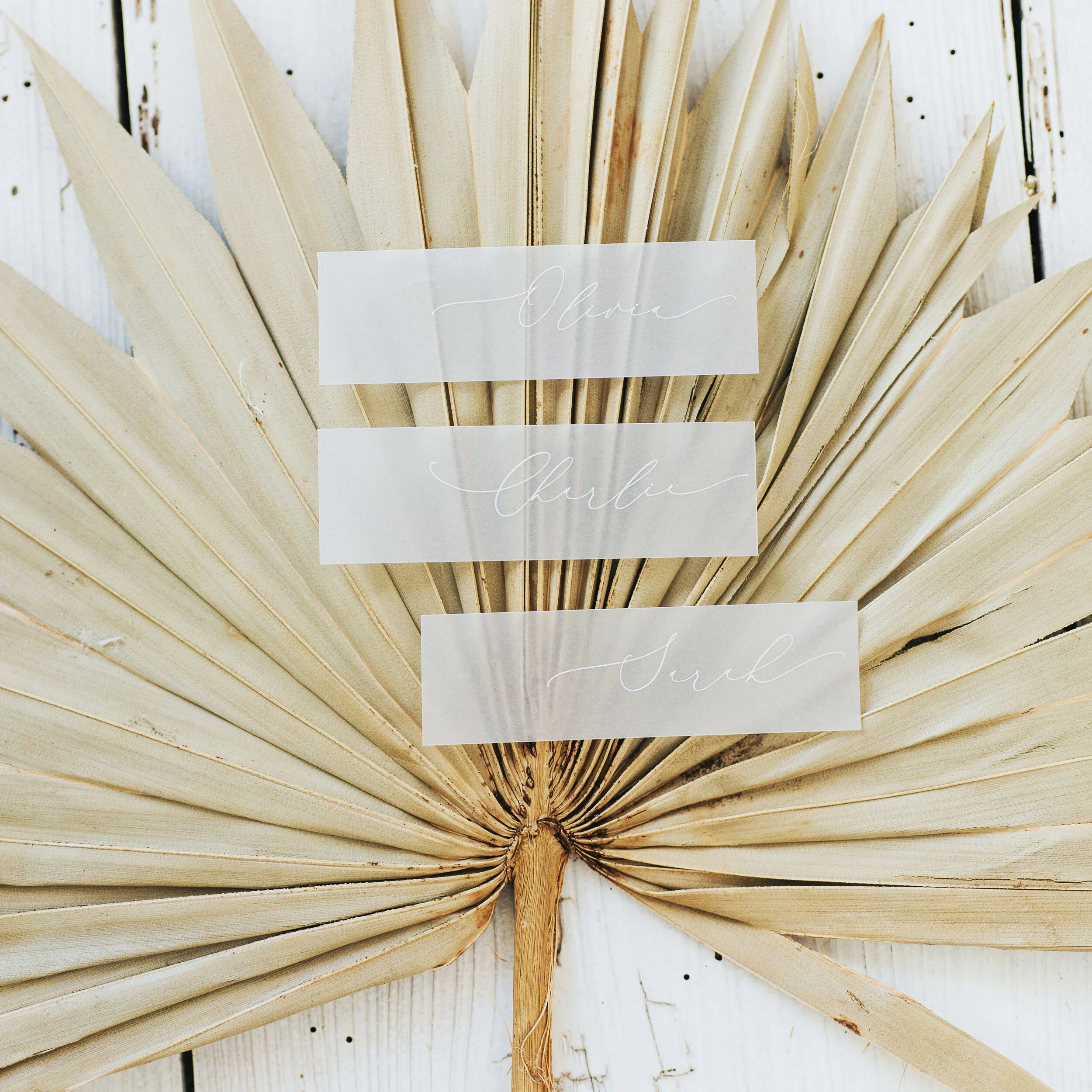 Simple vellum tags — LILAC & WHITE