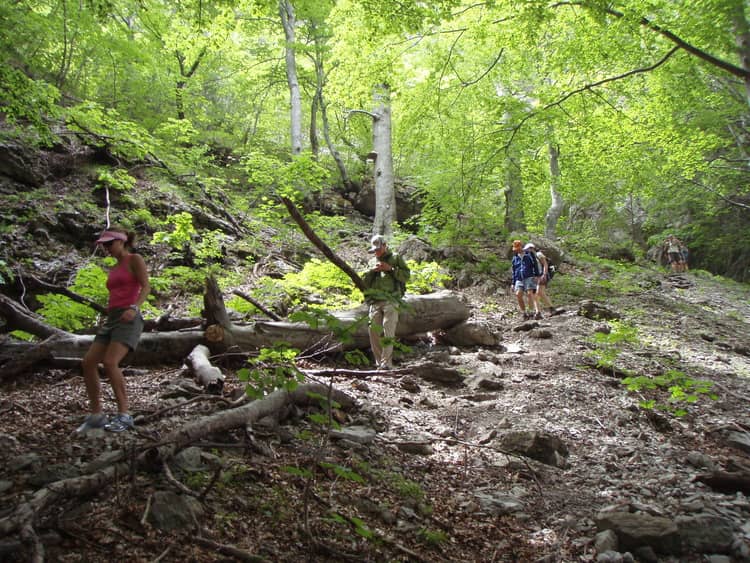 Paklenica National Park