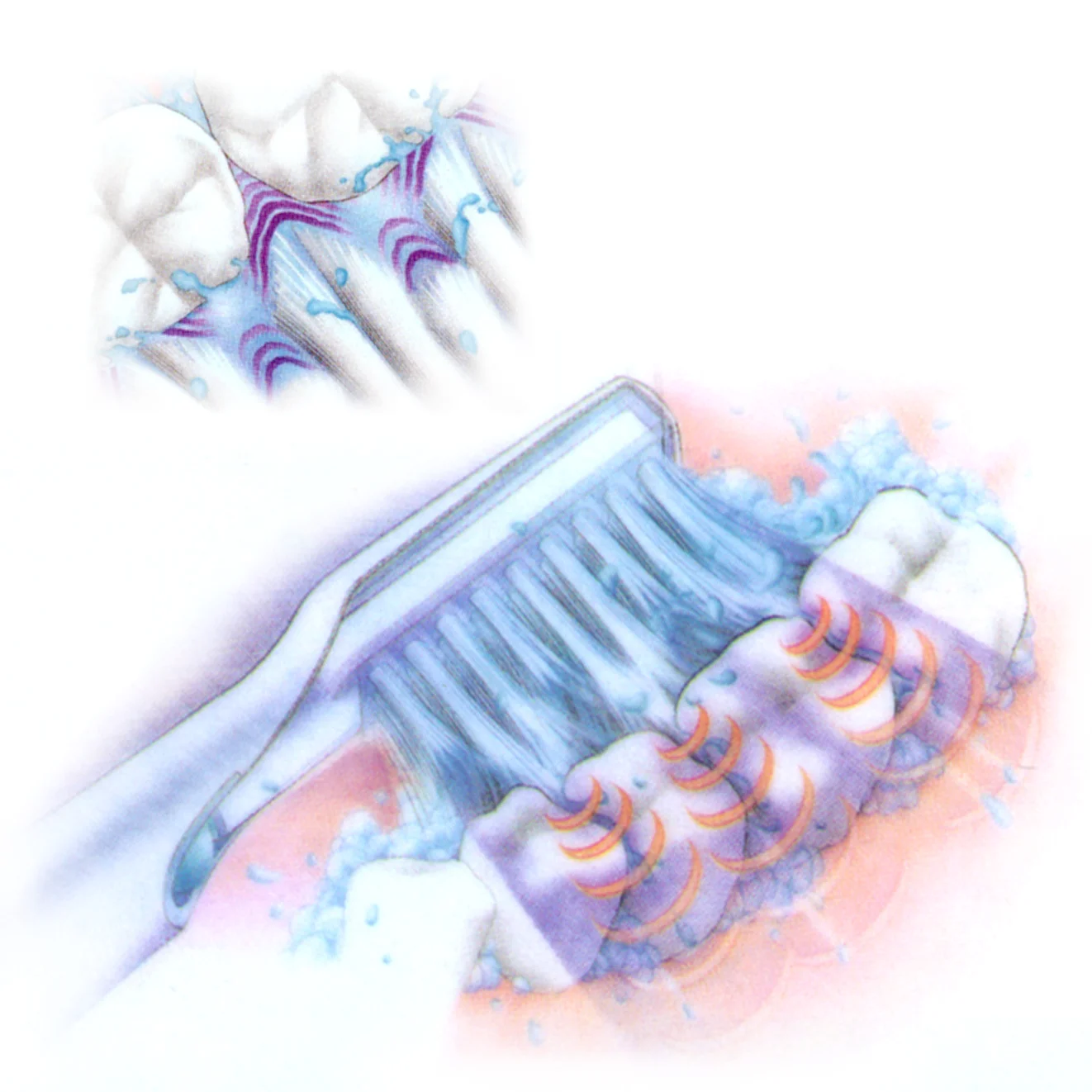 Optiva_BrushImages_2Stack_SmallOptimized.jpg