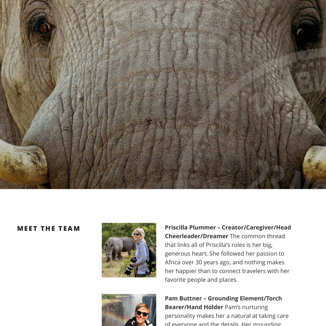 GS_Elephant_Sm.png