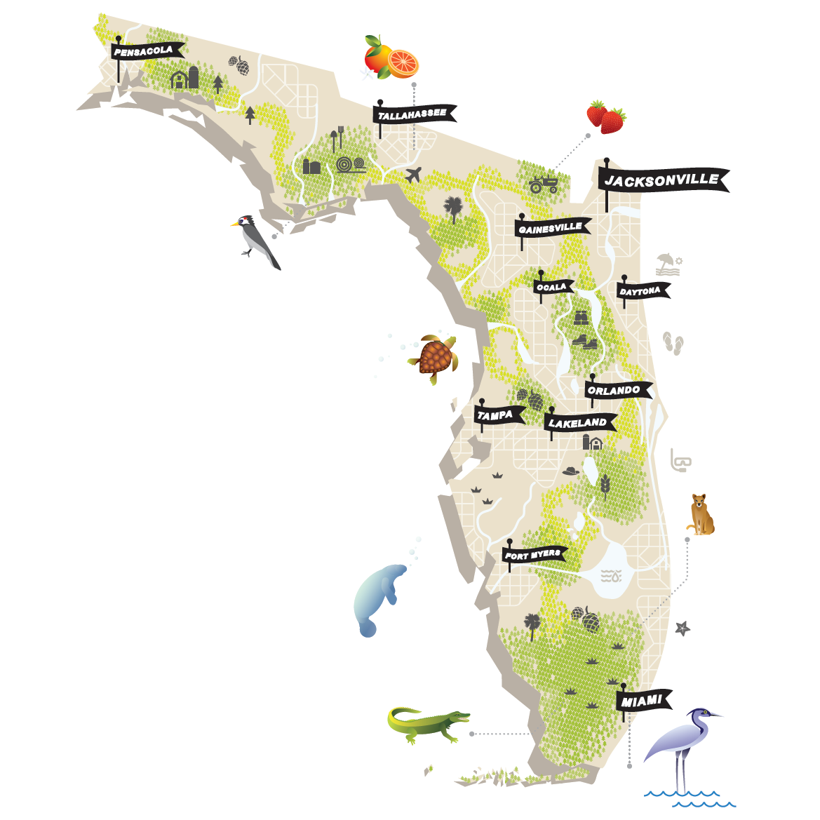 ConservationTrust_Florida_2.png