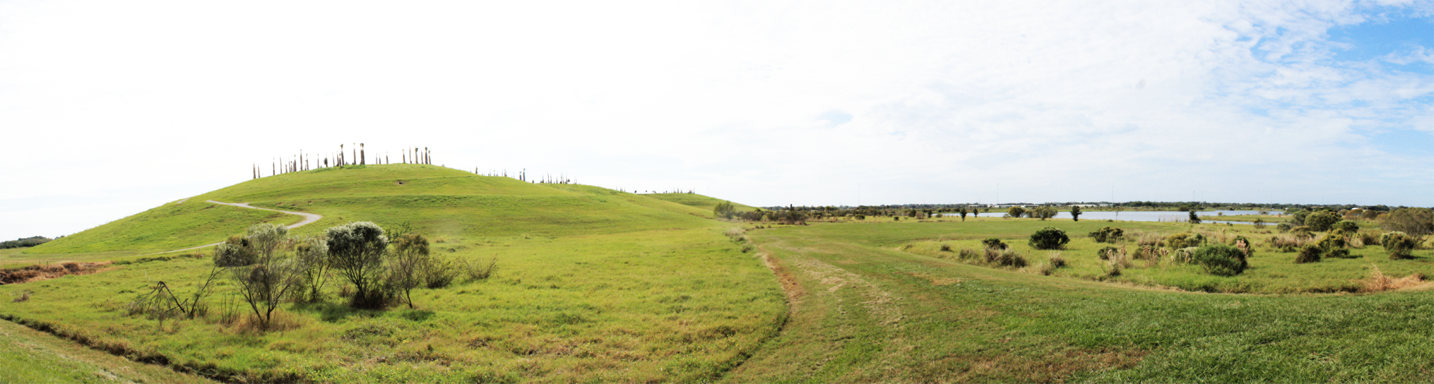 A site Panorama showing the capped mound and flood plain wetlands.