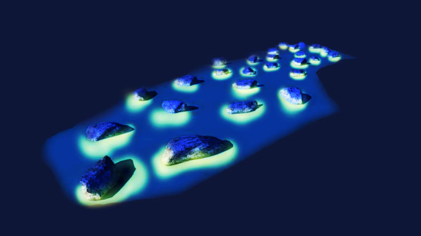 Birds Eye Vacant.jpg