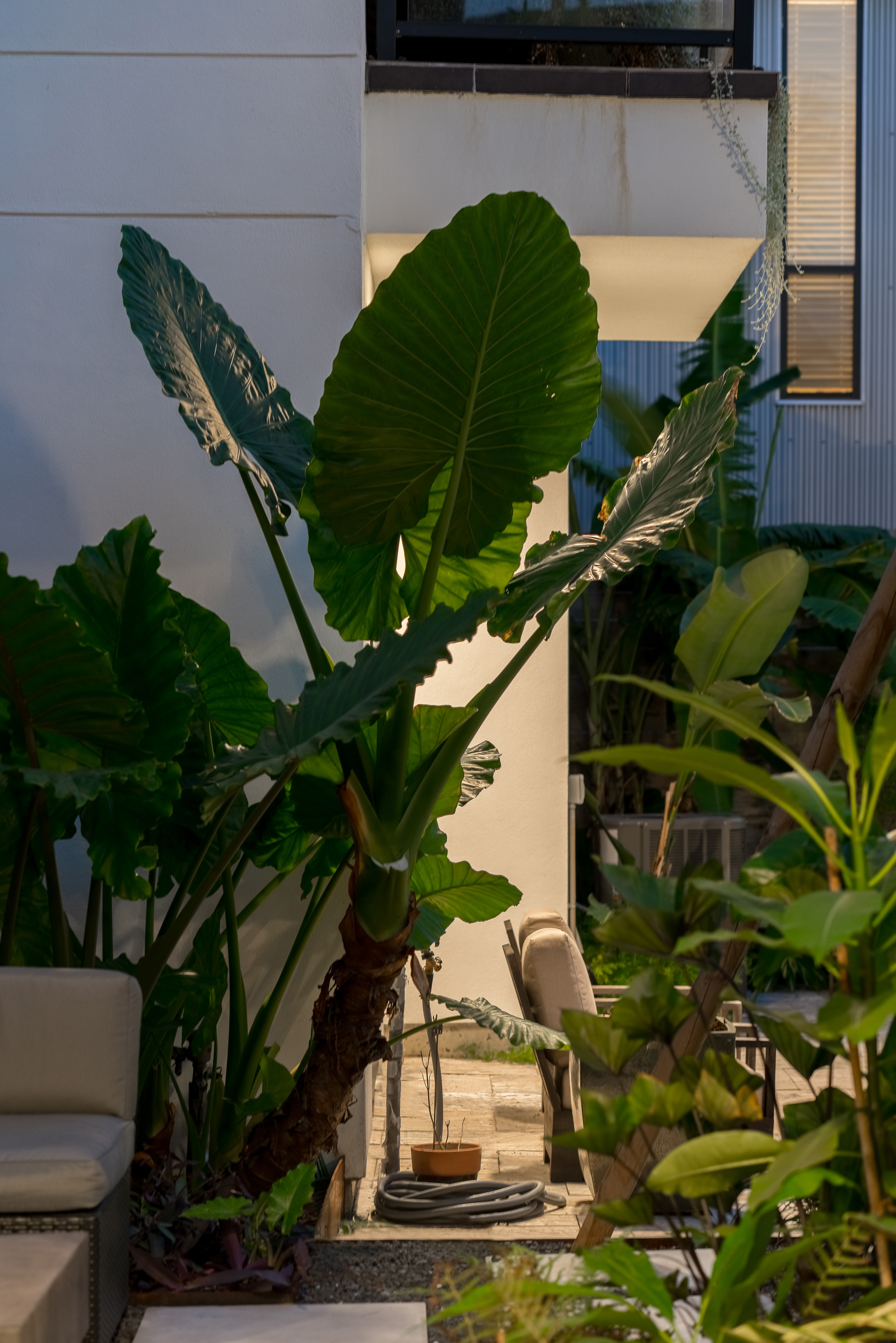 707 Nicholson St-40.jpg