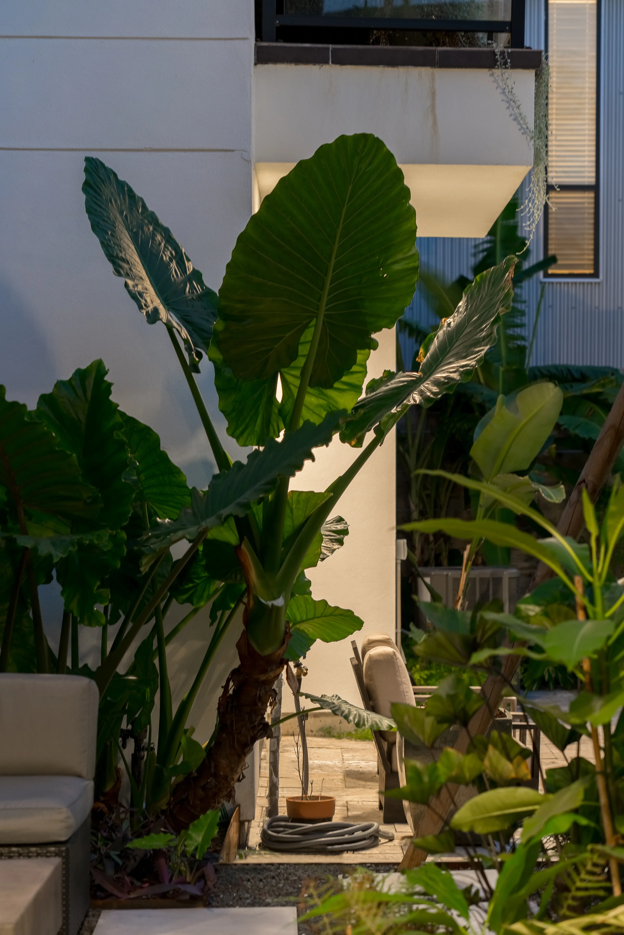 707 Nicholson St-40.jpg