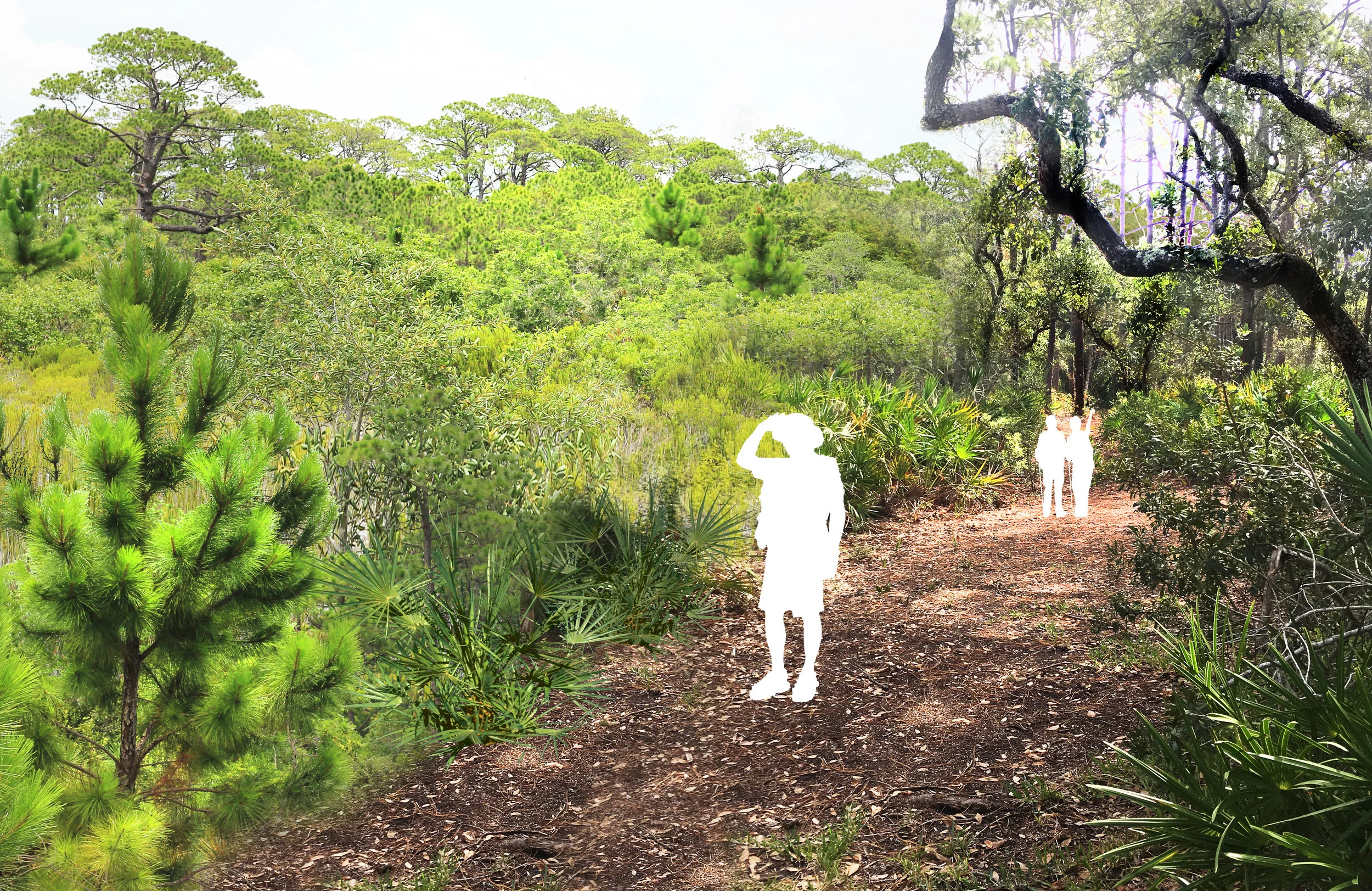Hiking Trail.jpg