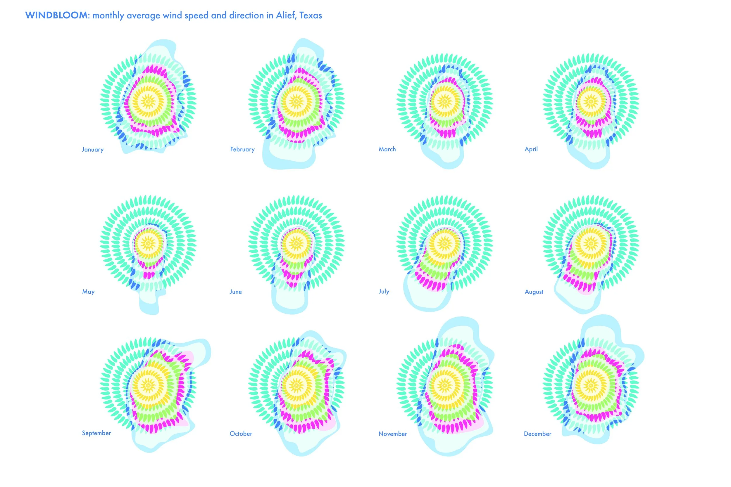 Windbloom: Artist Talk at the Alief Library