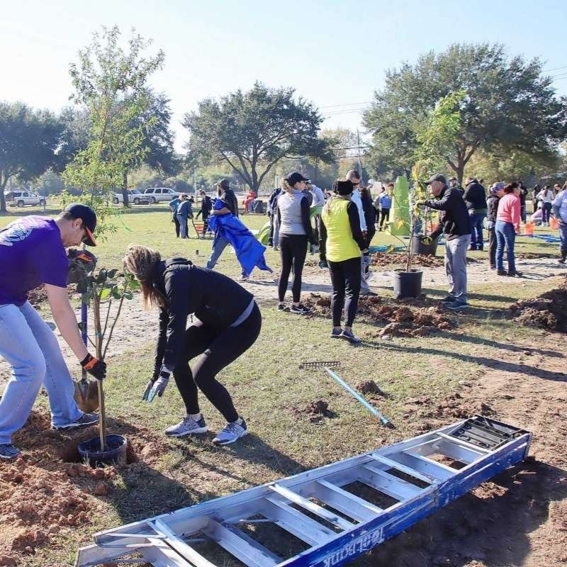 Falon Land Studio to design 7 new green playspaces in Walker County