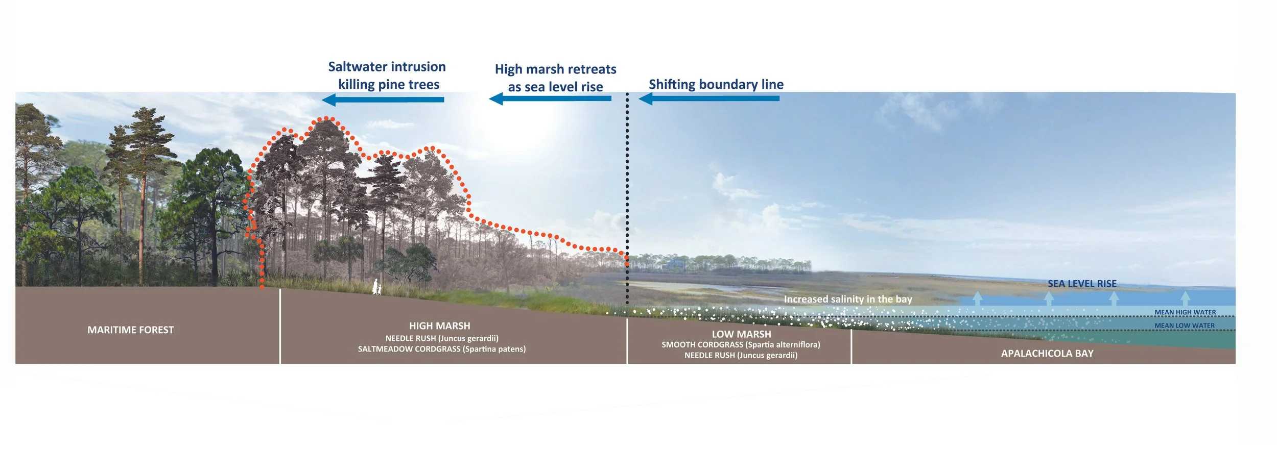 2023_0326_Salinity Section (1).jpg