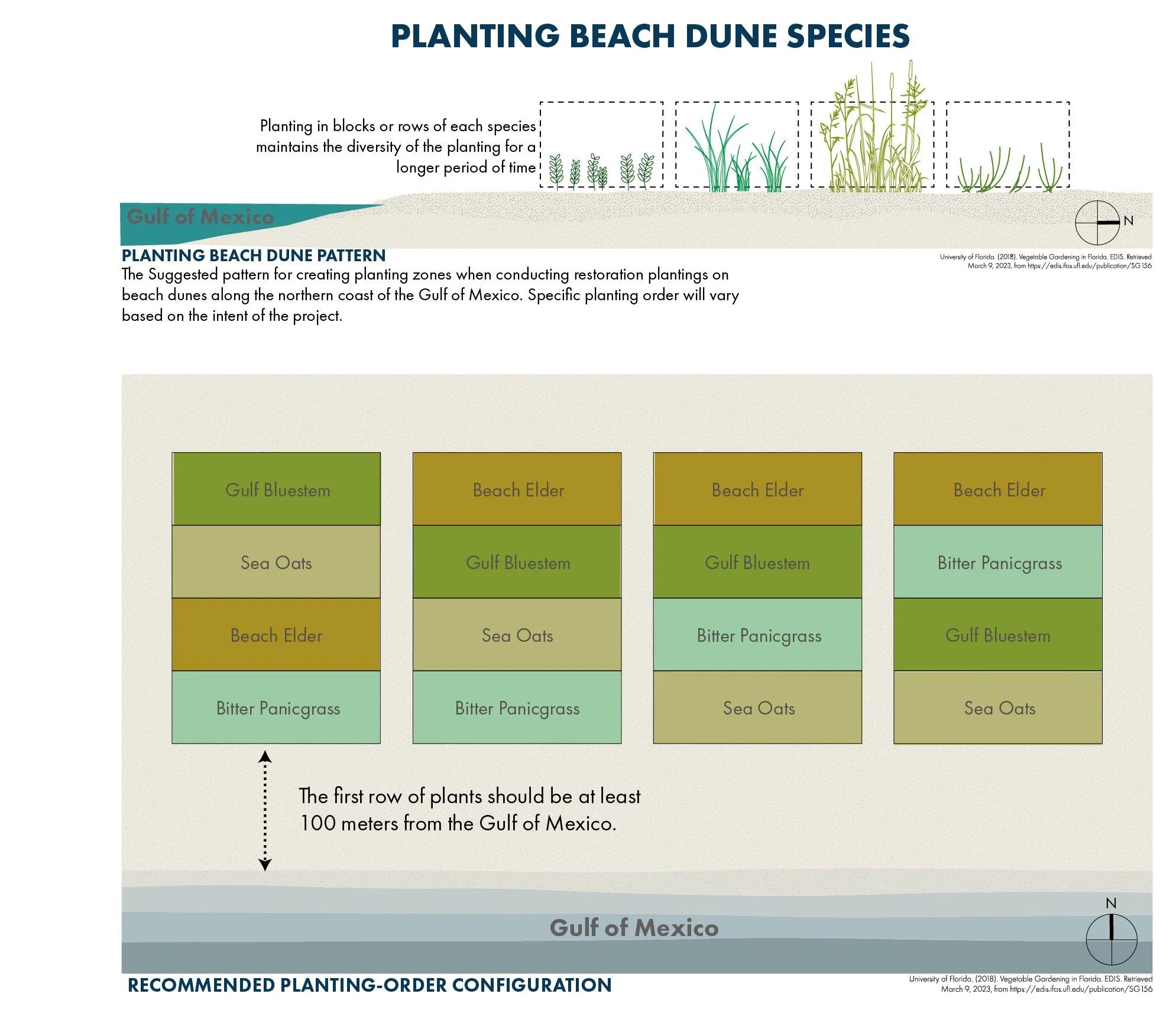 Sand Dune Illustrations SERIES-01.jpg