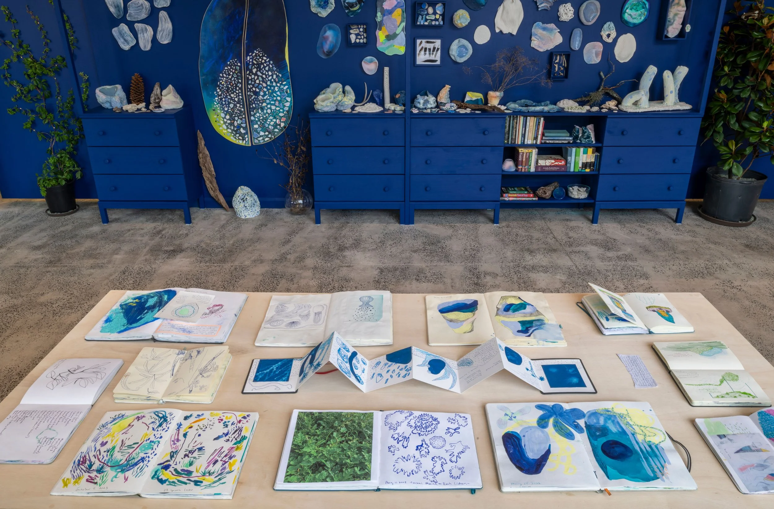 012 cabinet and sketchbooks Falon Mihalic.jpg