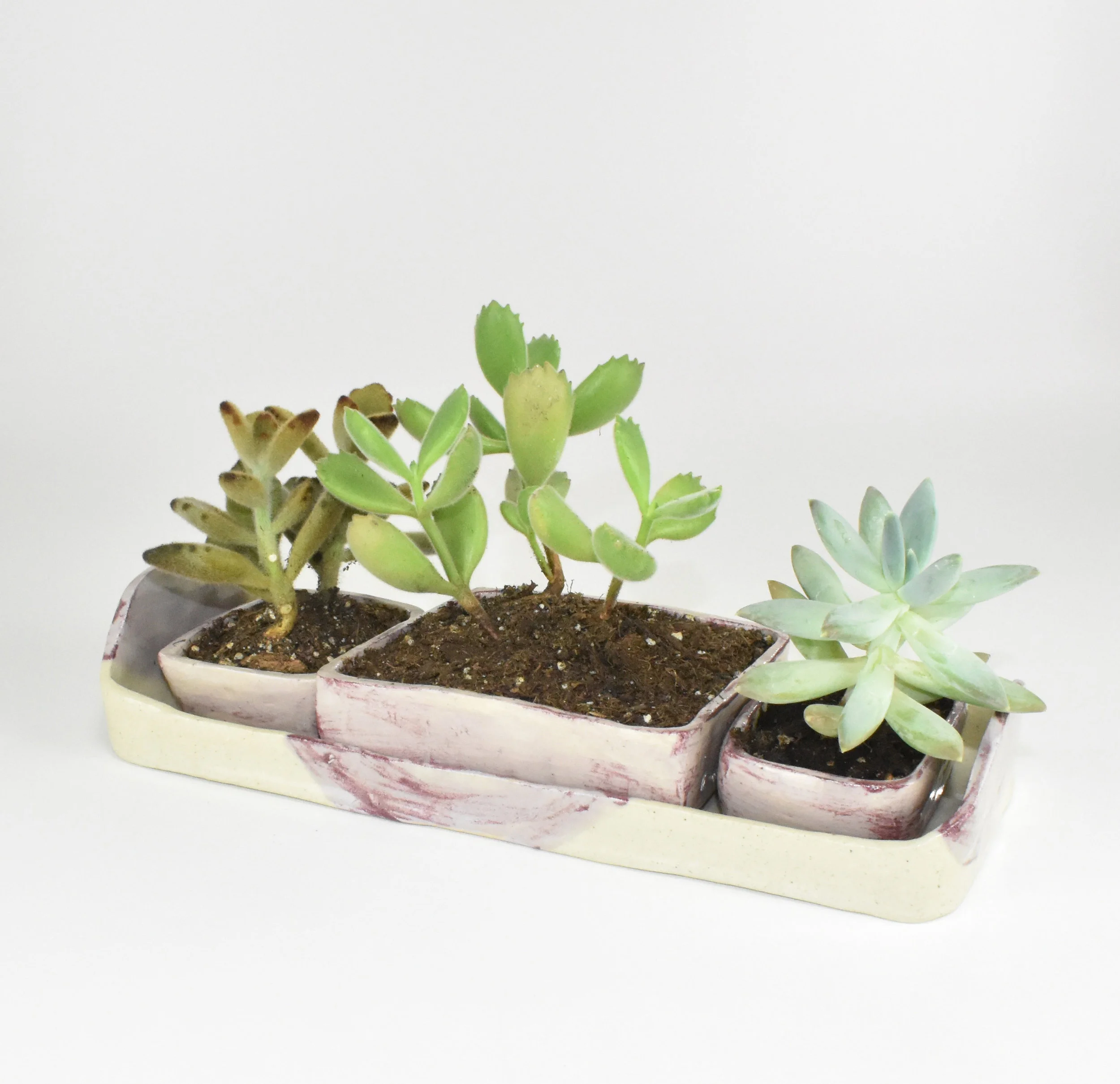 Planter2.jpg