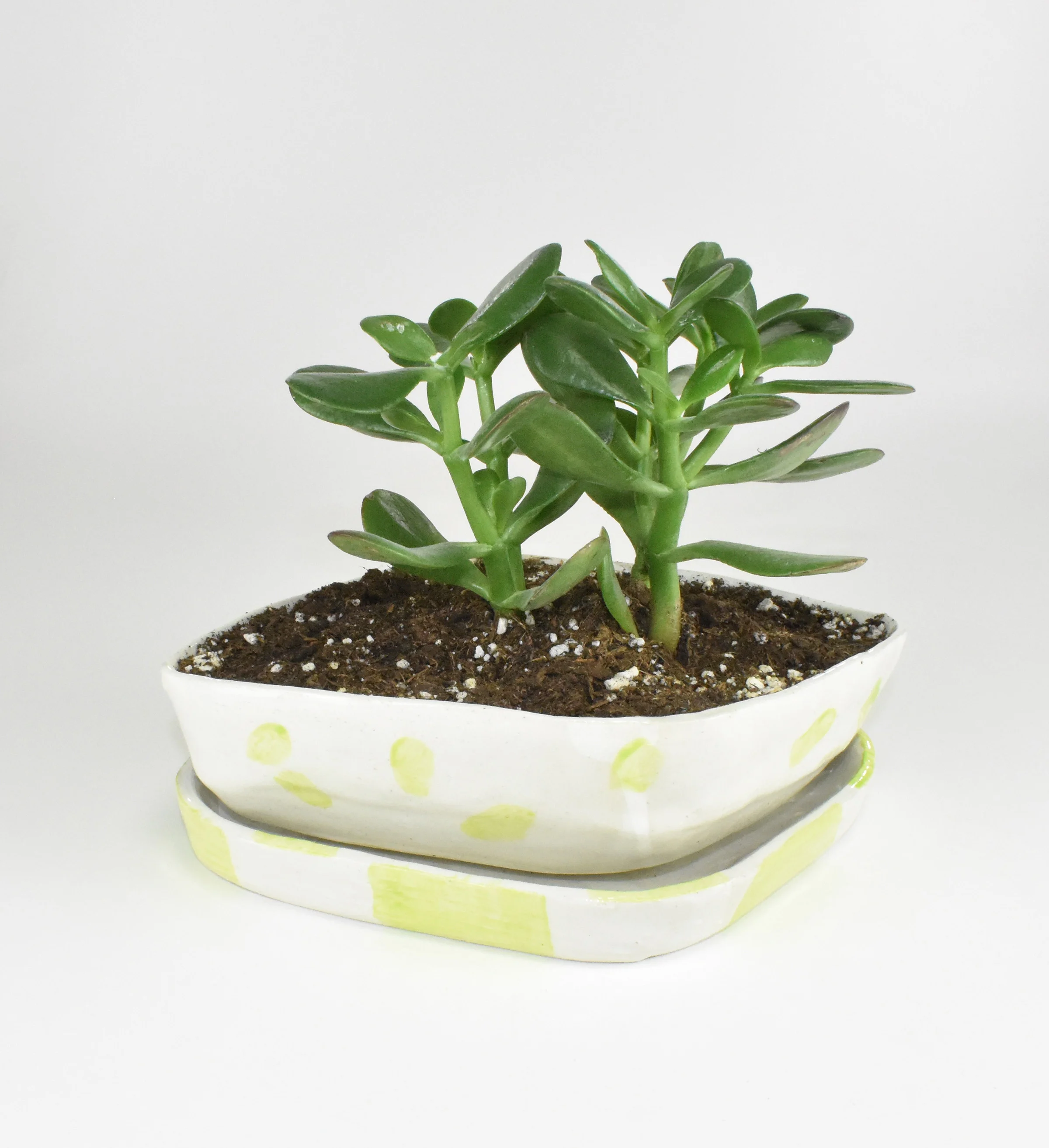 Planter.jpg