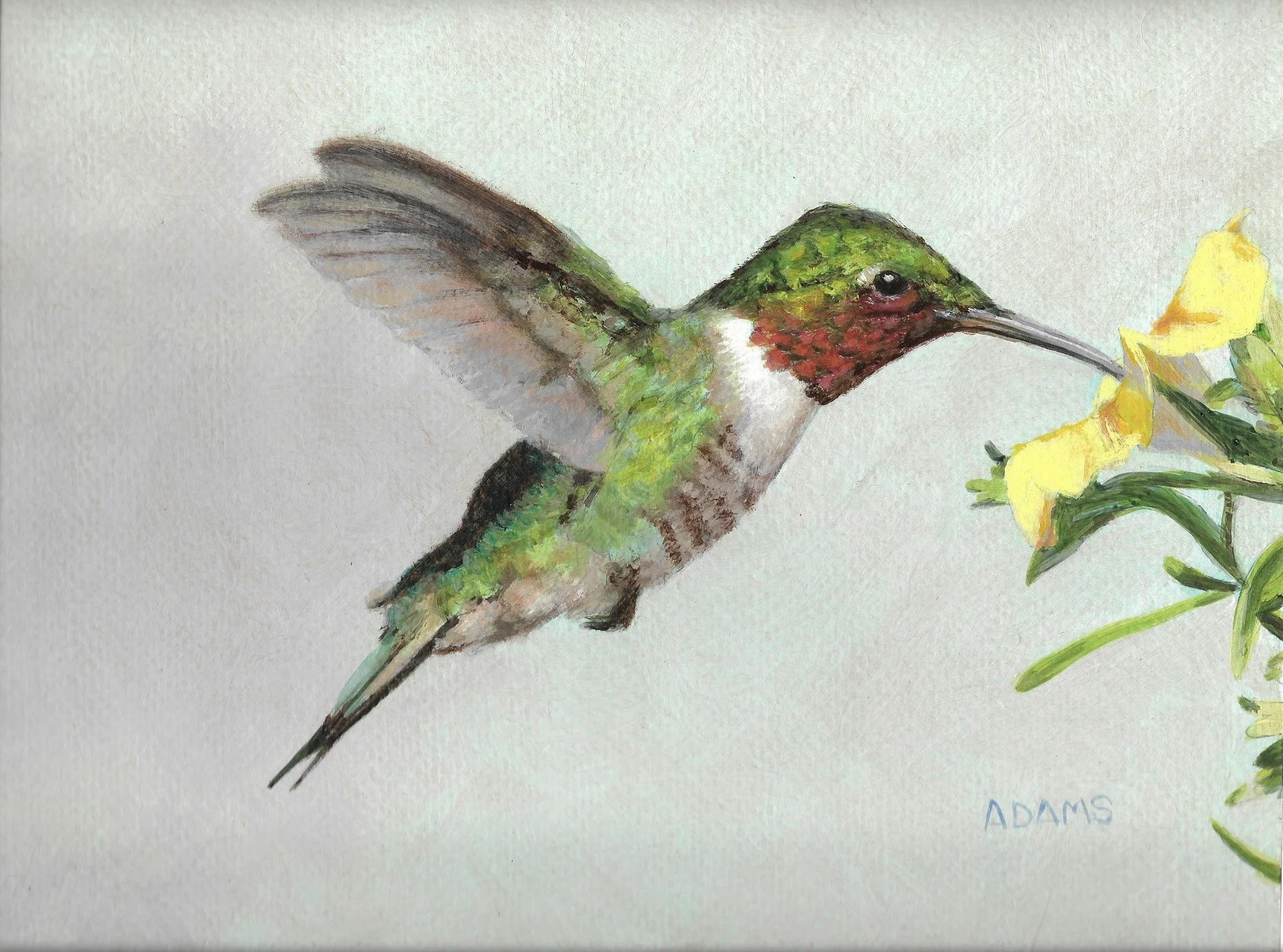 Humminbird