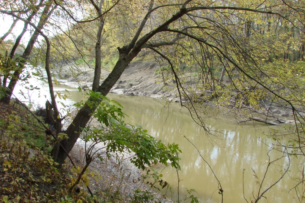 Taxes & Licenses — Platte County