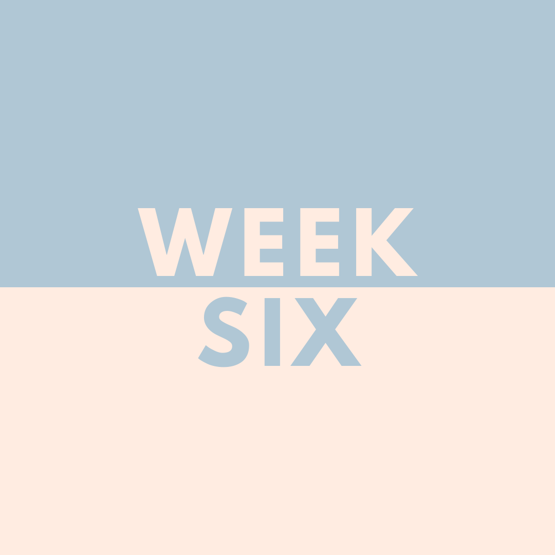 WEEK SIX ALBUM COVER.png