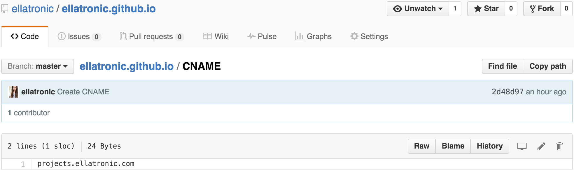 Here's what the GitHub file looks like