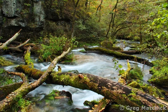 Greer Spring in the Missouri Ozarks