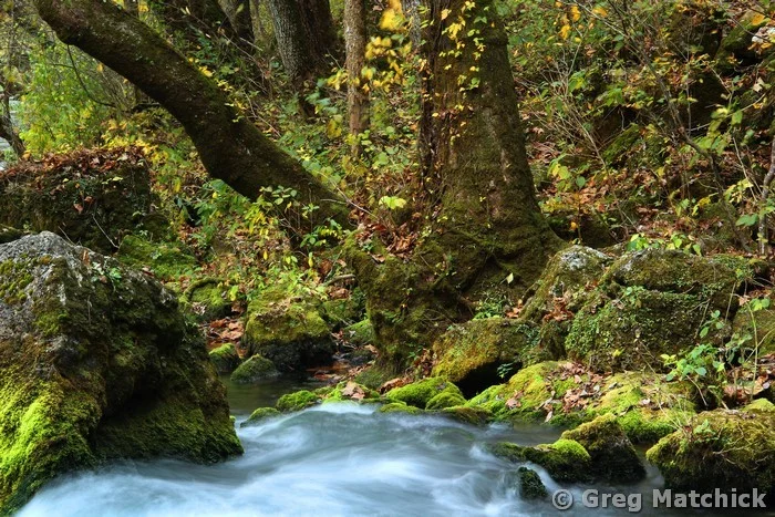 On the Banks of Big Spring