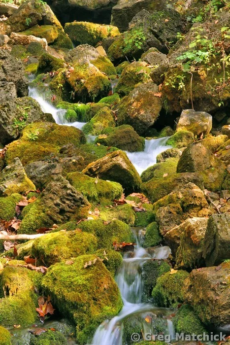 Turner Spring in the Missouri Ozarks