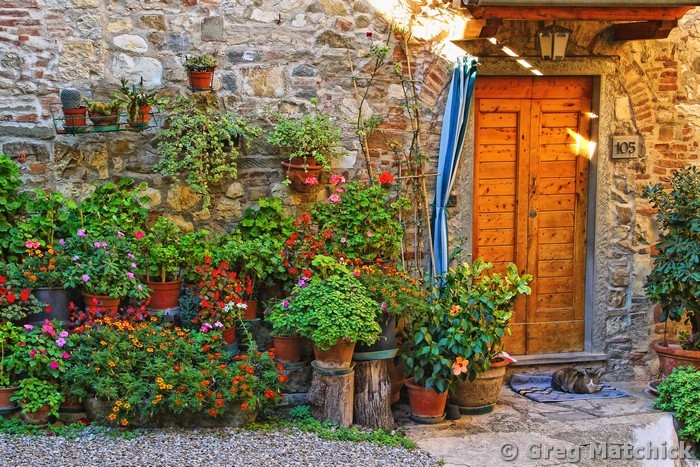 Home With Flowers and Cat in Chianti