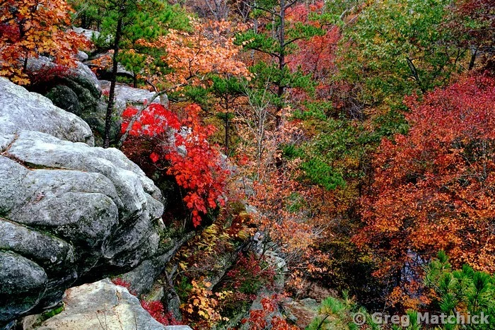 Autumn Bluffs Over Pickle Creek at Hawn State Park