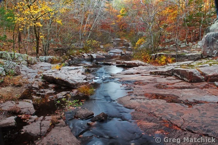 Pickle Creek in Late Autumn 1 at Hawn State Park