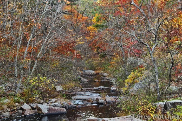 Pickle Creek in Late Autumn 2 at Hawn State Park