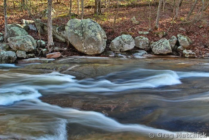 Patterns in Pickle Creek at Hawn State Park