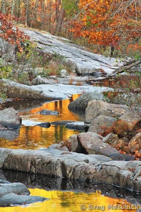 Autumn Reflections in Pickle Creek at Hawn State Park