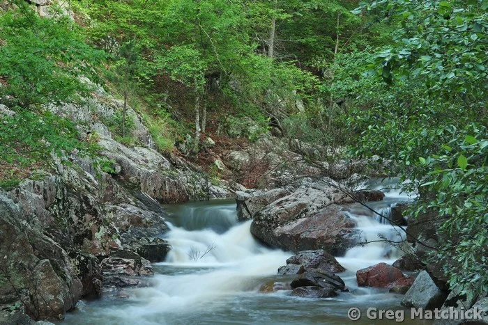 Cascades on Pickle Creek in Summer at Hawn State Park