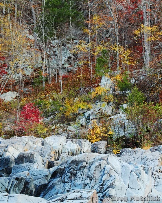 Autumn at Johnsons Shut Ins 1