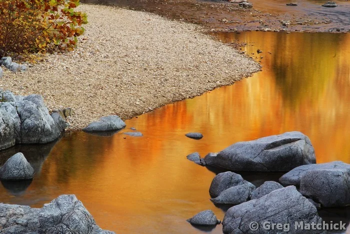 Black River Reflections 1