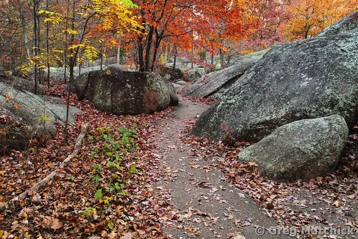 Autumn Path at Elephant Rocks 2