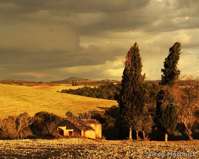 Evening Light On the Road to Pienza