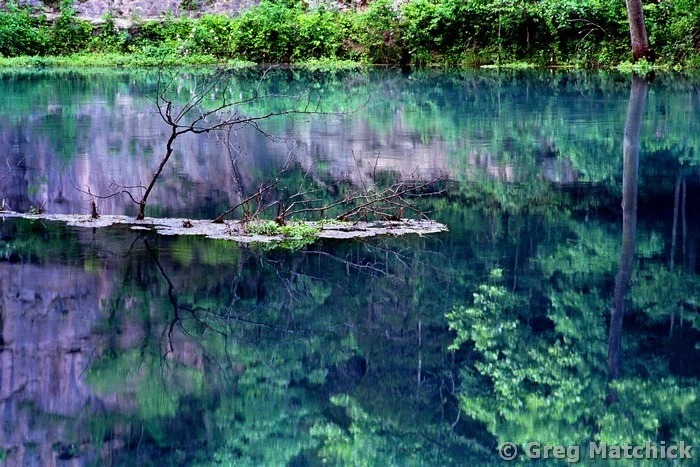 Branch and Reflections in Alley Spring