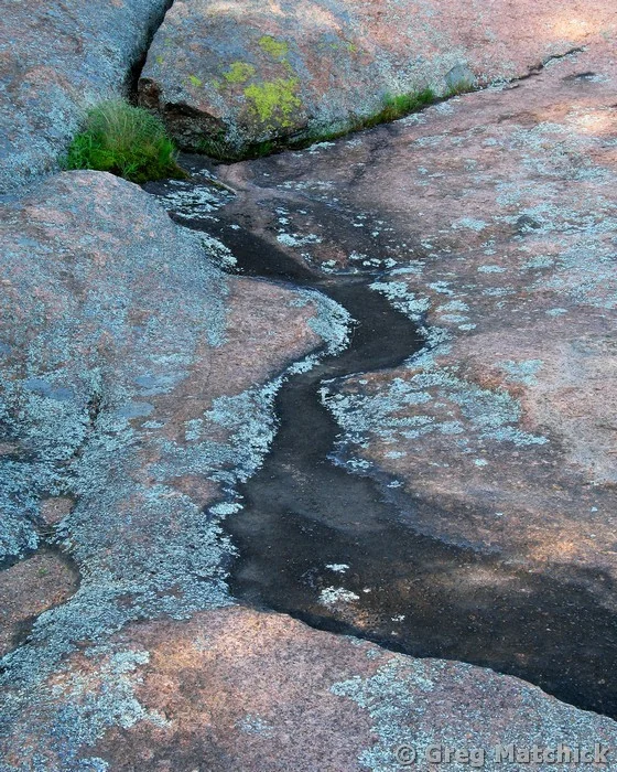 Cracks and Lichen Patterns