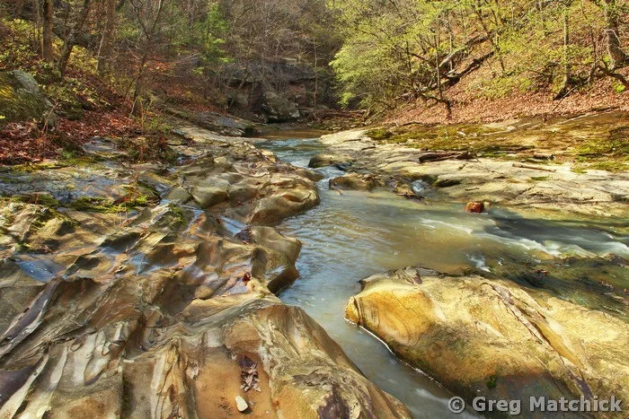 Dappled Light in Piney Creek Ravine 1