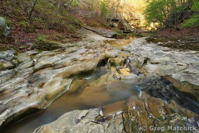 Piney Creek 1 in 2014