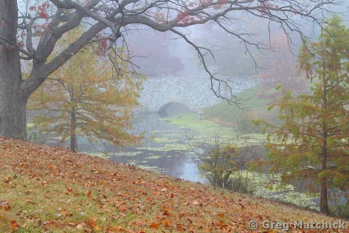 Fog and Old Stone Bridge at Carondelet Park
