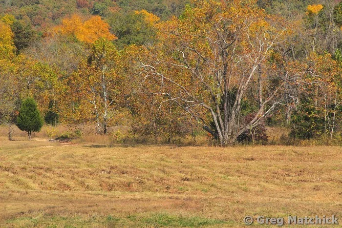 Autumn Farm Field in Missouri 1