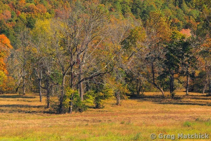 Autumn Farm Field in Missouri 3