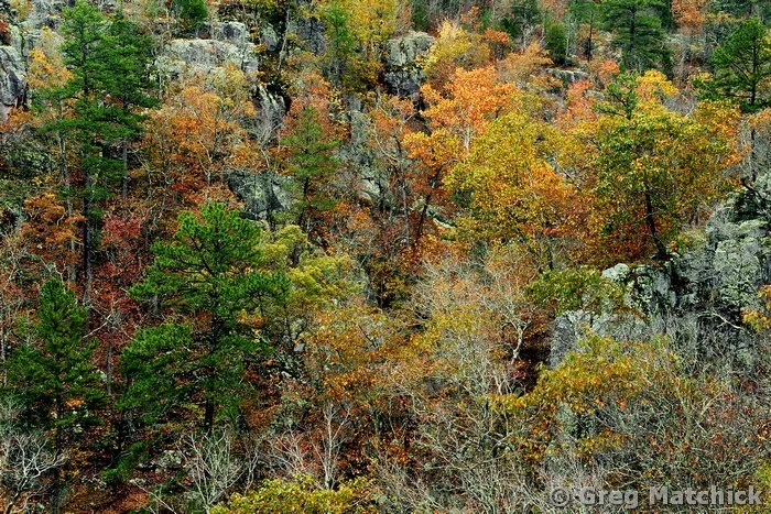 Prarie Hollow Gorge in Autumn
