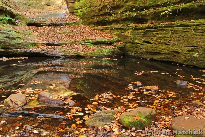 Pool In Sandstone Box Canyon