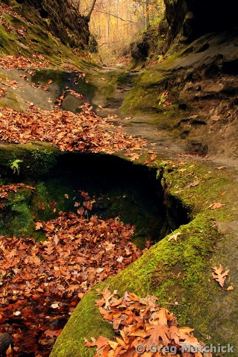Sandstone Box Canyon at Little Grand Canyon in Illinois