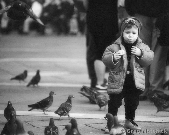 Who's Feeding Whom