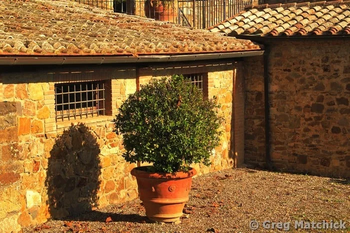 Tuscan Winery Courtyard