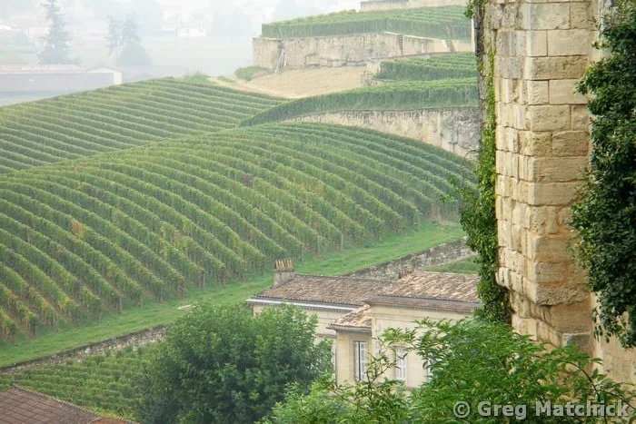 View Over St Emilion Vineyards